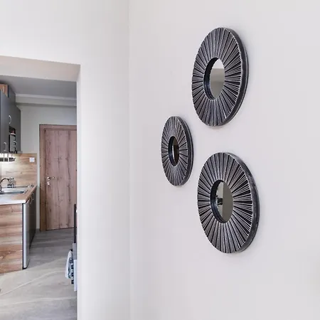 Center 普罗夫迪夫