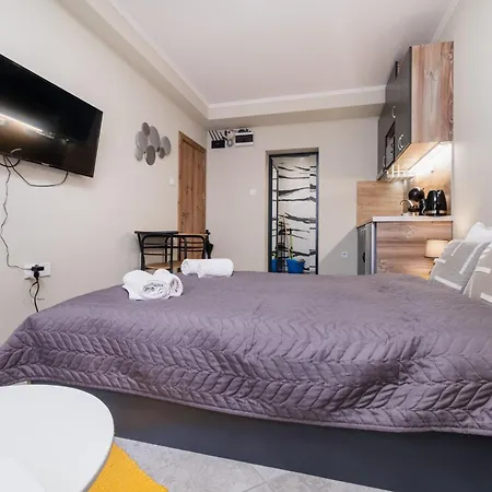 Center 普罗夫迪夫