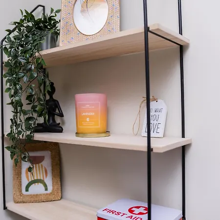 Center 普罗夫迪夫